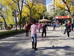 -文瀛公园