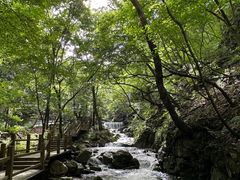 -本溪汤沟绿石谷森林公园