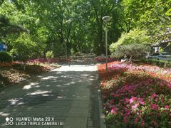 -中国公安部总部大楼