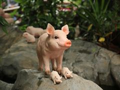 -北京植物园-展览温室