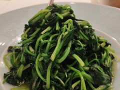 蒜炒鸡毛菜-正院大宅门烤鸭(首体店)