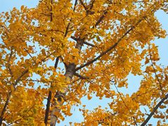 -西安电影制片厂