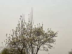 -河北省园博园
