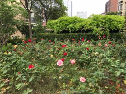 -杉惠素颜美妆皮肤管理中心