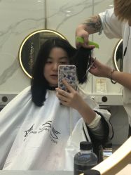 点击看大图 -艺之剪
