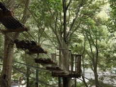 -衢州大荫山丛林飞越探险乐园