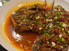 -草墩罗非鱼庄•野生菌•腊排骨(七星街上段店)