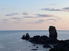 -涉地可支