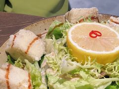 豆腐沙拉-INSA Korean Bistro饮鲨韩食酒馆