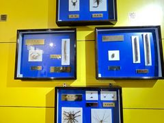 -上海昆虫博物馆