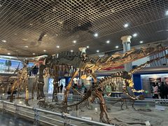 -国家自然博物馆