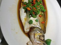 -绿茶餐厅(成都太古里店)
