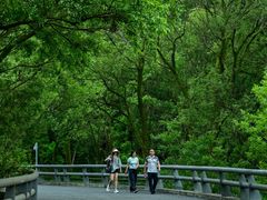 -西湖风景区-江洋畈生态公园