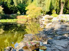 -三忘湖 SWANSEEN(柳荫公园店)