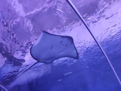 -多彩贵州城极地海洋世界