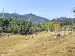 -田心森林公园