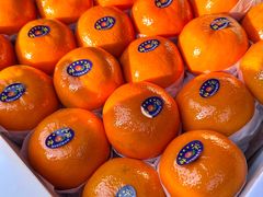 -东方鼎信农副产品交易中心