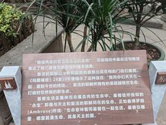-圣心大教堂
