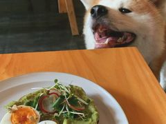 -Egg•Allday Brunch(襄阳北路店)