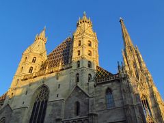 -斯蒂芬主教座堂(Stephansdom)