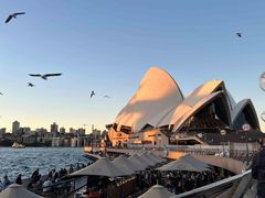 -悉尼歌剧院