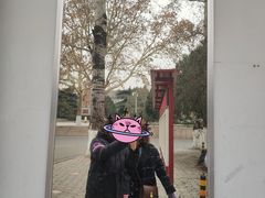 -山东师范大学(千佛山校区)