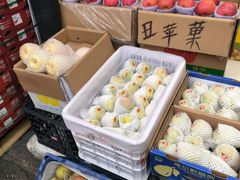 -双福水果批发市场