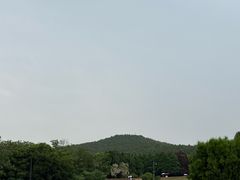 -秦始皇帝陵博物院-丽山园