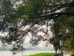 -南宁南湖公园