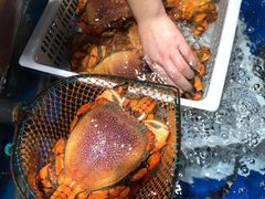 -盒马鲜生(顺义店)