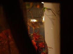 -中和·国风茶馆(愚园路店)
