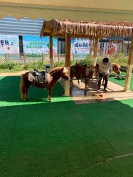 -萌宠亲子动物乐园(槐房万达店)