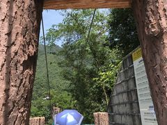 -遂昌金矿国家矿山公园