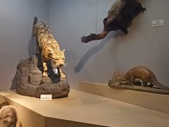 -武汉园博园(武汉自然博物馆)