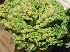 -快乐小羊(富强中路店)