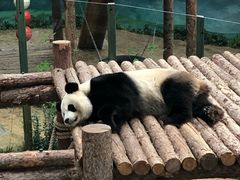 -大连森林动物园