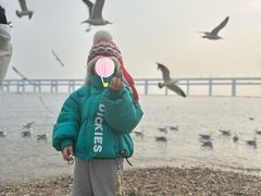 -黑石礁公园