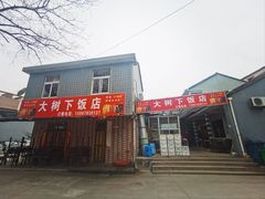 -大树下饭店(春晓镇慈岙社区卫生服务站南)