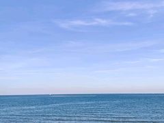 -日照海滨国家森林公园