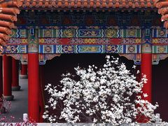-皇罗禅寺