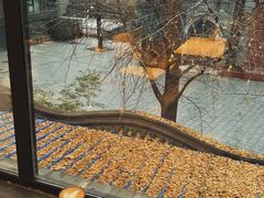 -腾爱熊猫咖啡生活馆(老东门店)