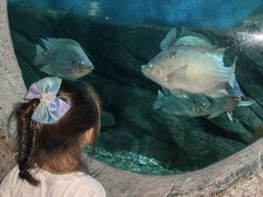 -苏州海洋馆