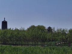 -永定河休闲森林公园