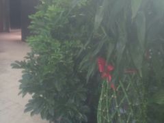 -宝鸡东道花鸟鱼虫市场(吉利花园商场店)