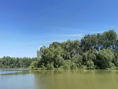 -大湾区中央湿地公园