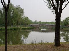 -东郊湿地公园