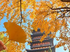 -常熟方塔园