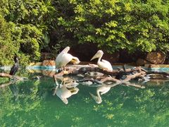-珠海长隆海洋王国