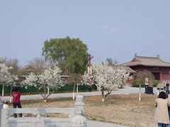-赵州桥景区