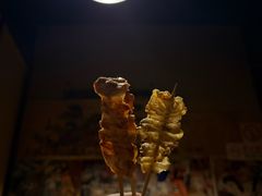 -木子烧鸟屋(百子湾店)